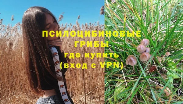 а пвп мука Вязьма