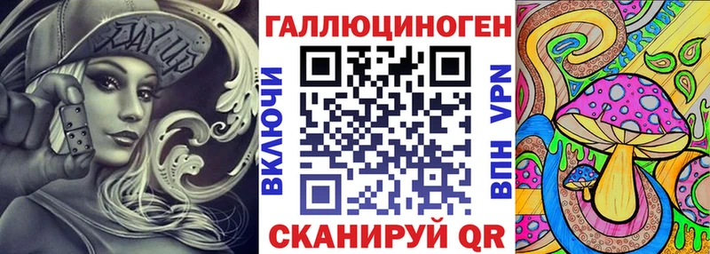 Купить  Весьегонск  Псилоцибиновые грибы Psilocybe 